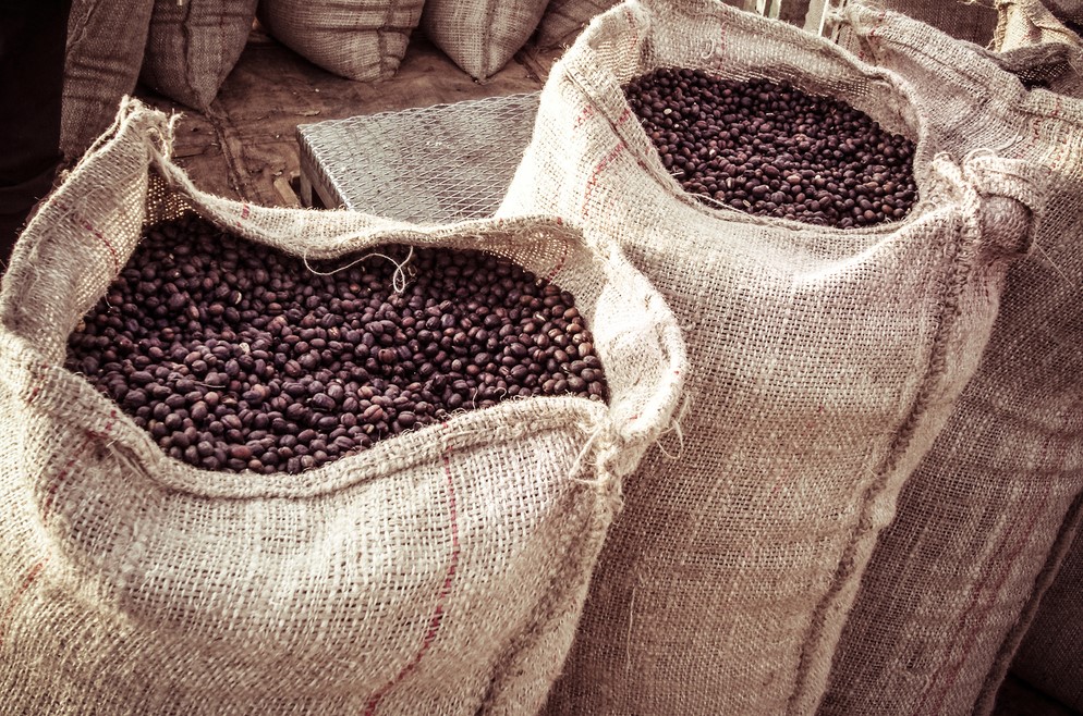 Geröstete Kaffee Bohnen / Großhandel
